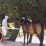 Ronald Reagan with his horse Ronald Reagan with his horse