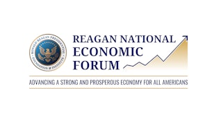 RNEF logo RNEF logo