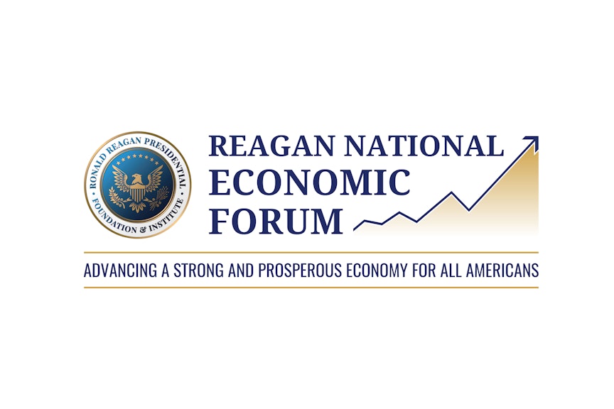 RNEF logo RNEF logo
