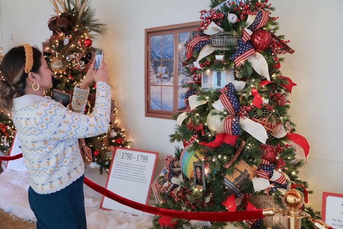 Person taking photo of Christmas Tree